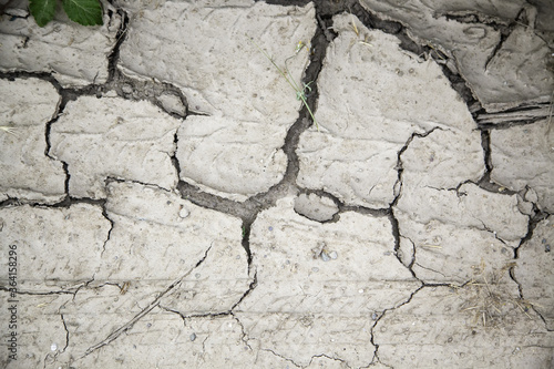 Dry cracked earth