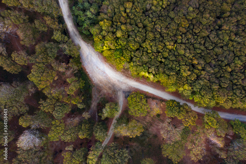 Scenic aerial view of a winding trekking path in a forest. Trekking path in the forest from above, drone view. Aerial view of footpath in forest.