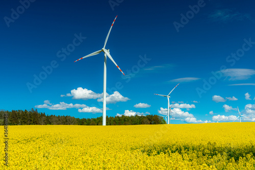 Renewable energy, wind energy with windmills. Wind turbines farm generating electricity on rapeseed fields - aerial view. Clean and ecological energy concept. Rural landscape in Poland