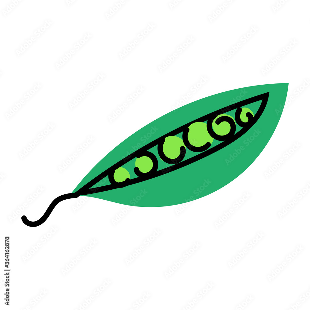 Vector illustration of a green pea pod with peas on a white background. Healthy food. Healthy lifestyle. Fruit. Ingredients for cooking in the kitchen. Hand-drawn clipart. Vector illustration of a green pea pod with peas on a white background. Healthy food. Healthy lifestyle. Fruit. Ingredients for cooking in the kitchen. Hand-drawn clipart.