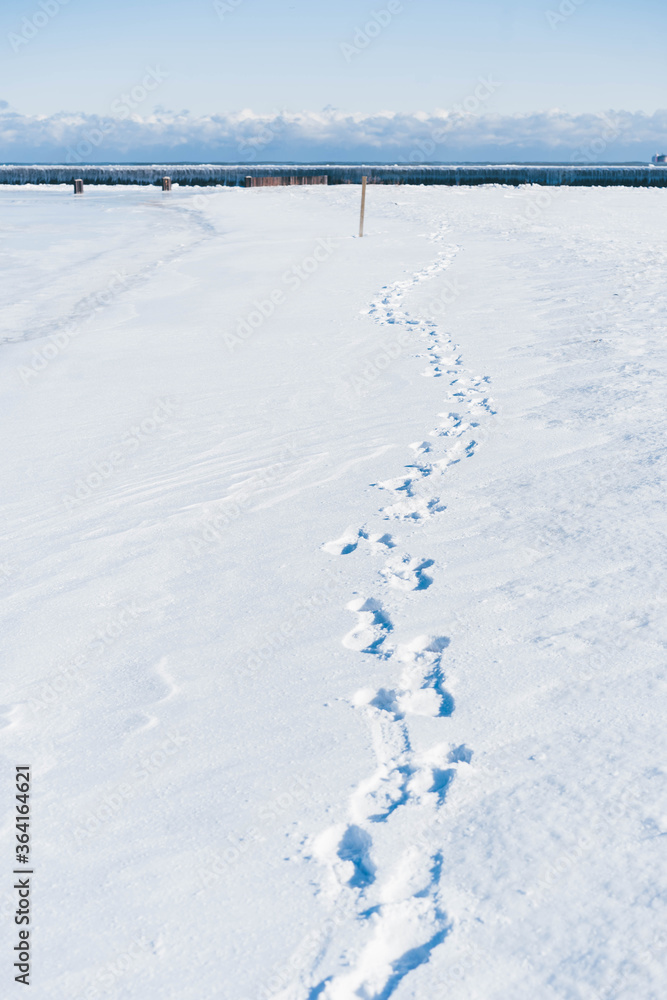 Footprints on snow