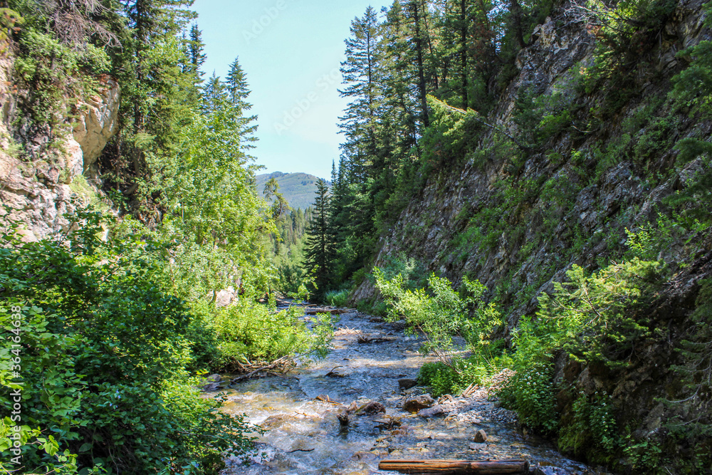 river in the mountains