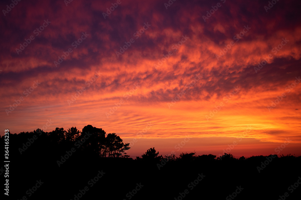 Orange cloudy sunset sky over black trees silhouette. Countryside landscape