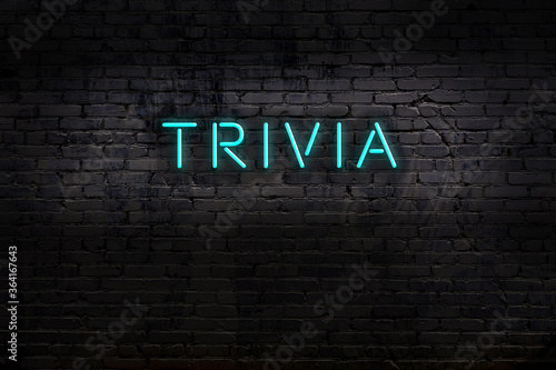 Neon sign. Word trivia against brick wall. Night view photo