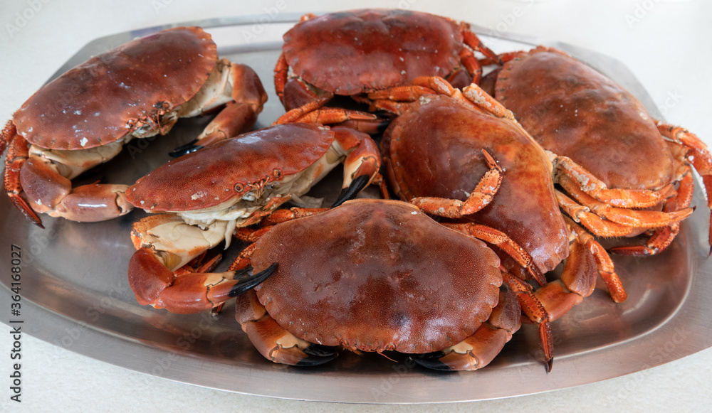 Cromer crabs, freshly cooked and ready to eat. Cromer crabs, freshly cooked and ready to eat.