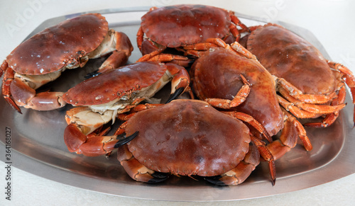 Cromer  crabs, freshly cooked and ready to eat.