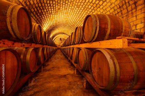 Oak barrels in wine cellars  Changli County  Hebei Province  China