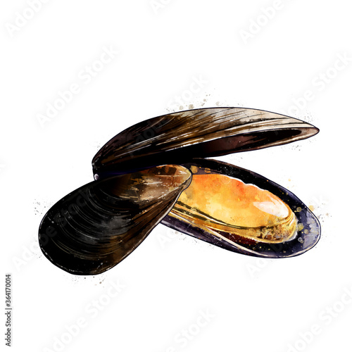 Принти на полотні Mussels, watercolor isolated illustration of bivalve mollusks.