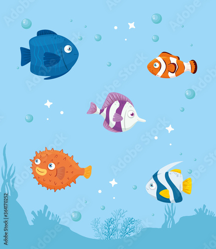 fishes marine animals in ocean, seaworld dwellers, cute underwater creatures, undersea vector illustration design