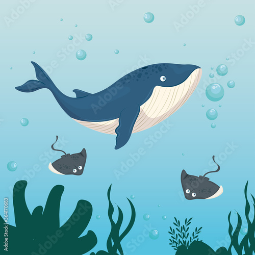 xxx and wild marine animals in ocean, sea world dwellers, cute underwater creatures, undersea fauna of tropic vector illustration design