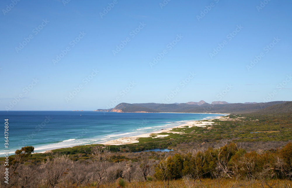 Coastline of Tasmania, Australia featuring dunes, sand, foliage and beautiful blue skies