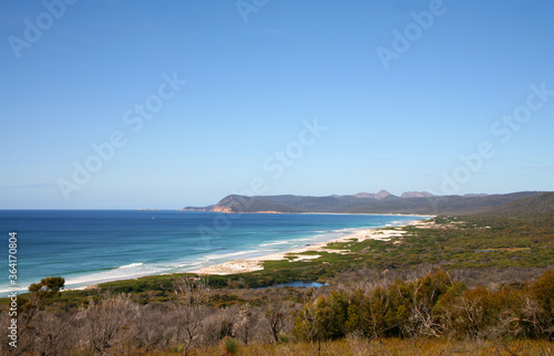 Coastline of Tasmania, Australia featuring dunes, sand, foliage and beautiful blue skies