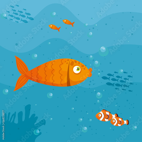 fishes marine animals in ocean, seaworld dwellers, cute underwater creatures, undersea vector illustration design