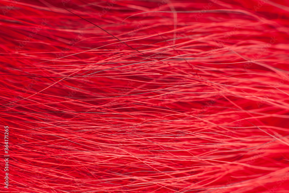 Obraz premium Bright red fur close-up, used as a background or texture. Soft focus