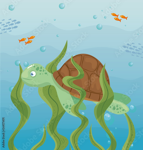 turtle and life marine in ocean, seaworld dwellers, cute underwater creatures, undersea fauna vector illustration design