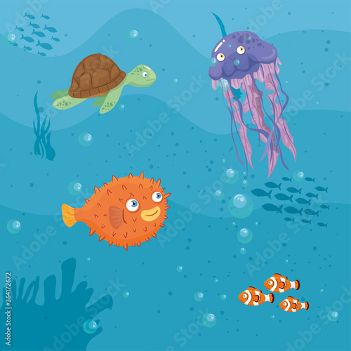 xxx and wild marine animals in ocean, sea world dwellers, cute underwater creatures, undersea fauna of tropic vector illustration design