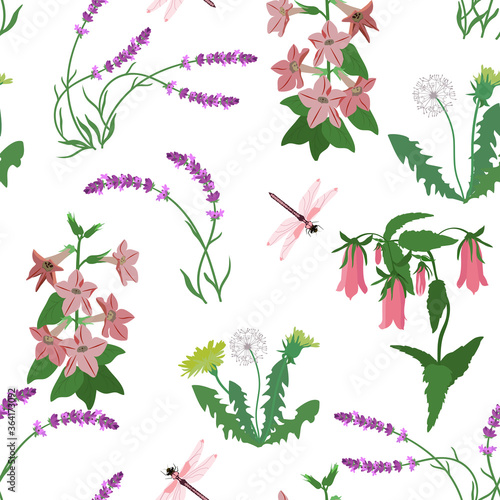 Field bells, lavender, dandelion and dragonfly on a white, seamless background. Vector illustration.