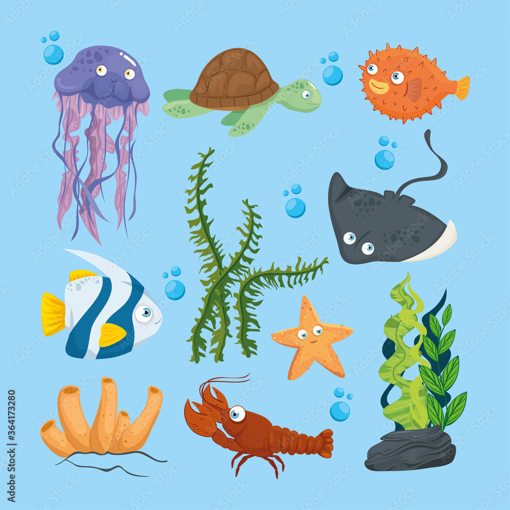 Obraz premium xxx and wild marine animals in ocean, sea world dwellers, cute underwater creatures, undersea fauna of tropic vector illustration design