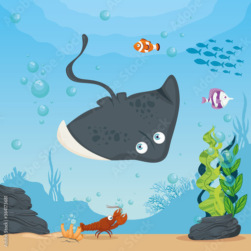 stingray and marine animals in ocean, seaworld dwellers, cute underwater creatures, undersea fauna vector illustration design