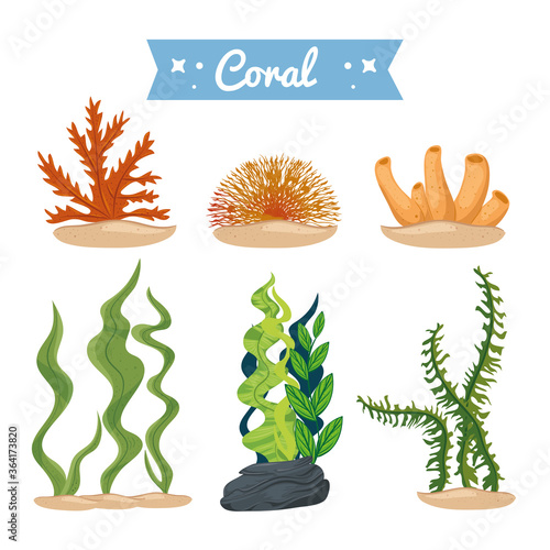 seaweed and coral, underwater nature icons vector illustration design