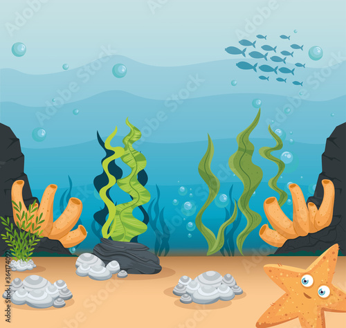 xxx and wild marine animals in ocean, sea world dwellers, cute underwater creatures, undersea fauna of tropic vector illustration design