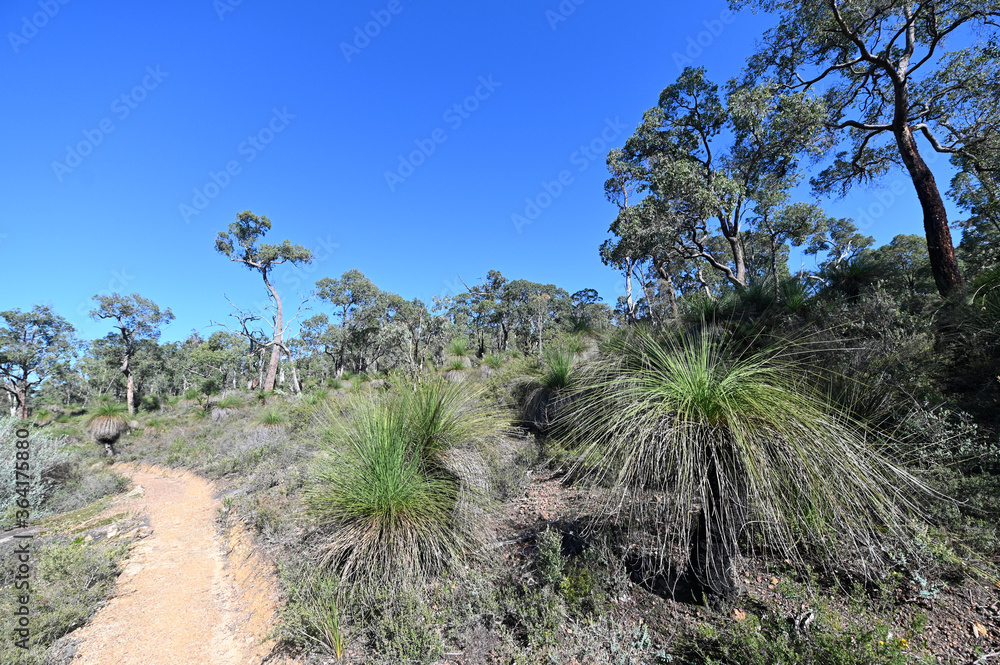 Hiking trail in John Forrest National Park near Perth Western Australia