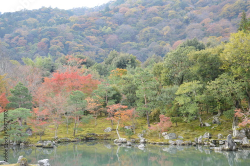 紅葉の京都 © IEYASU