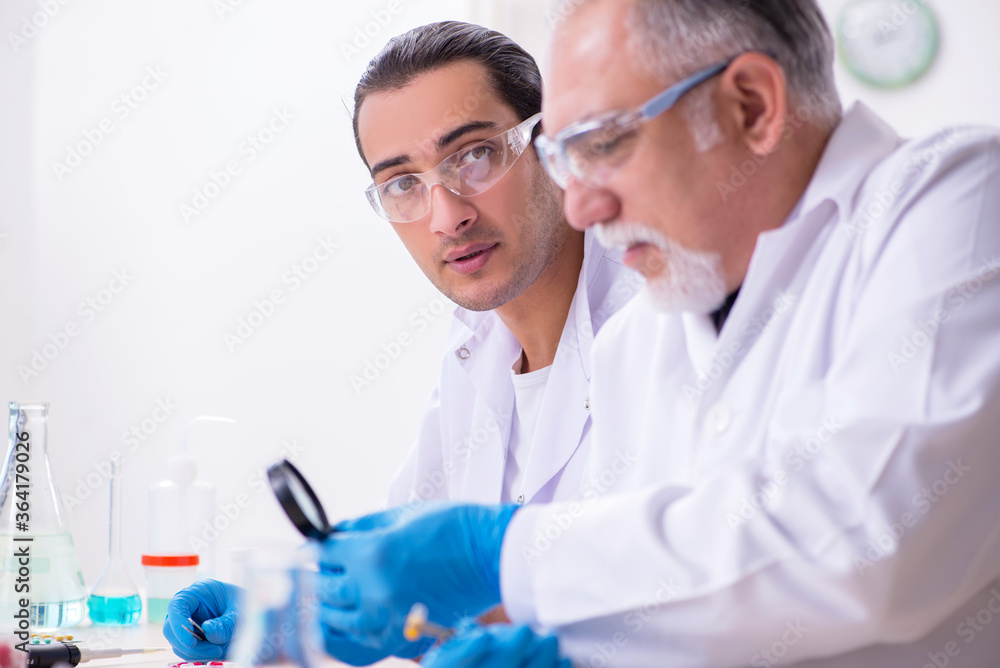Two chemists working in the lab Two chemists working in the lab