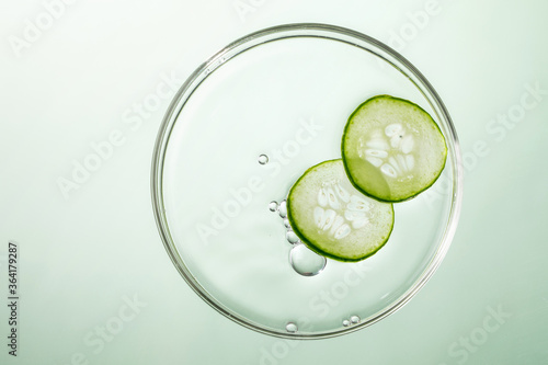 cucumber slice in petri dish on green background. 