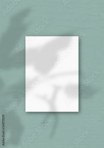 The vertical sheet of white textured A4 paper on the green wall background. Mockup overlay with the plant shadows. Natural light casts shadows from an exotic plant © Natika_art