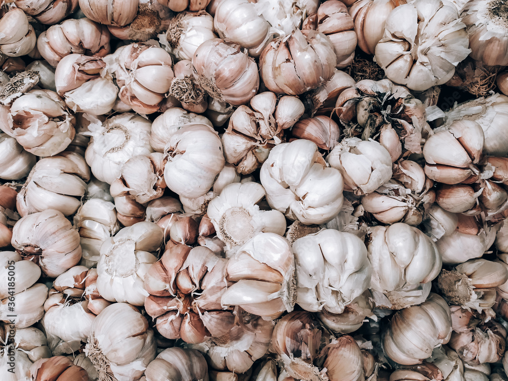 Full Frame Colorful Display Of White Garlic Allium In Market 
