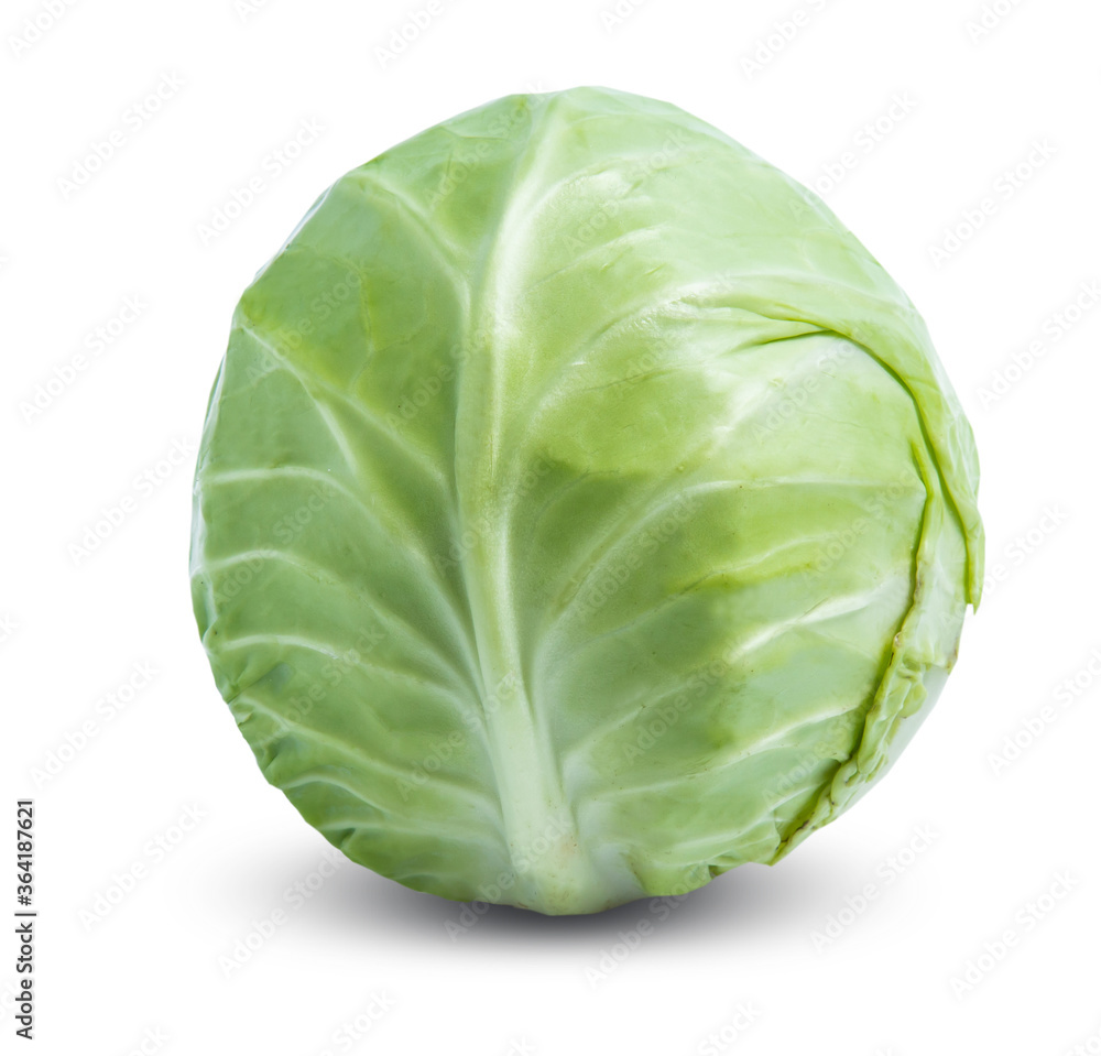 green cabbage vegetable isolated on white background green cabbage vegetable isolated on white background