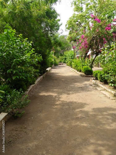 footpath in the park © Rekha