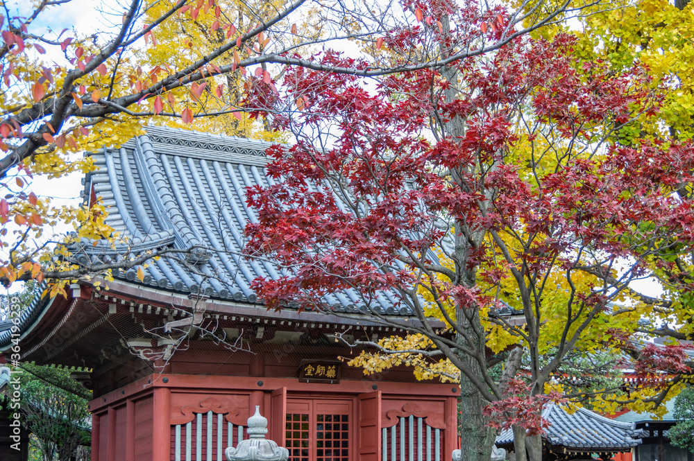 Tokyo has many beautiful and historic public areas expressing the intricate culture and spirit of Japan Tokyo has many beautiful and historic public areas expressing the intricate culture and spirit of Japan