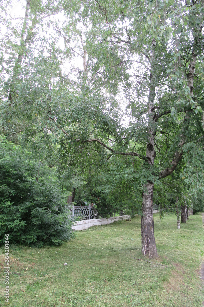 Fototapeta premium Russia, Vologda City, Center, july 2020 (139)