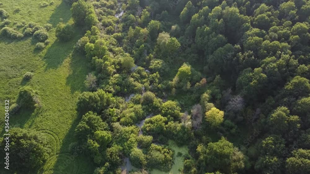 Aerial photography. Top view of the river with spills and islands
Aerial photography. Top view of the river with spills and islands