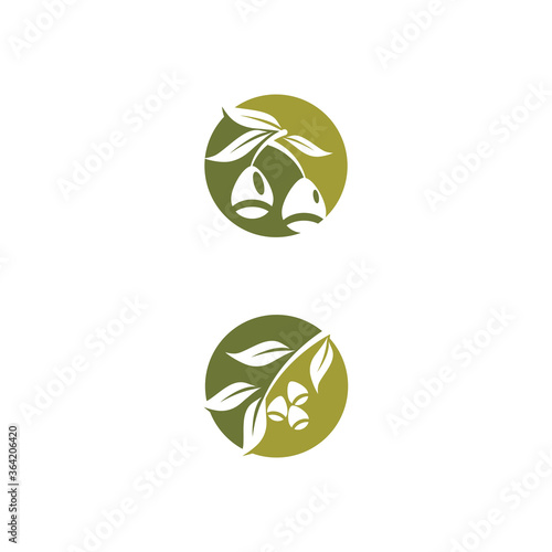 Eucalyptus leaves logo vector template
