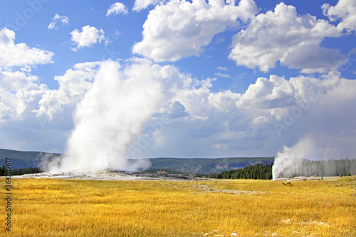 Old Faithful Geyser erupting the steam with the other active geyser in the background. Cloudy sky in Yellowstone National Park. 