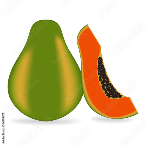 Vector illustration fresh papaya