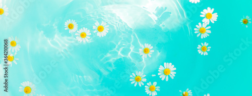 Little wild daisies with yellow center floating on the blue bubble paradise water. Shadow from flowers on the bottom. Free copy space. Top view, macro shoot