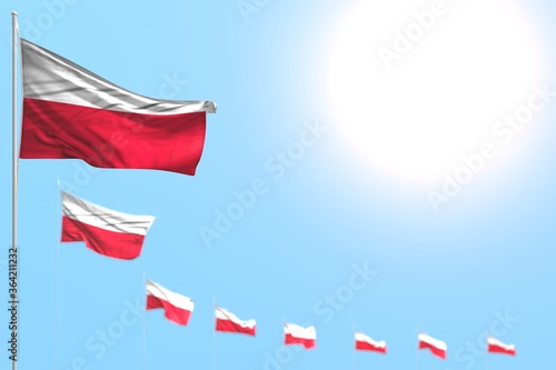 nice many Poland flags placed diagonal with selective focus and free place for text - any celebration flag 3d illustration..