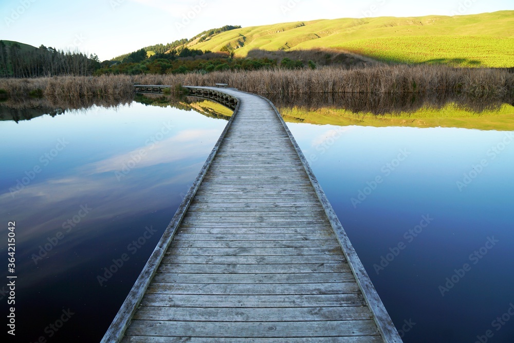 Fototapeta premium Pekapeka Wetlands, Hawke's Bay, New Zealand
