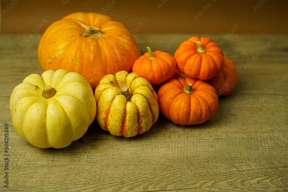 Variety of squash and pumpkins on a rustic timber wooden surface Variety of squash and pumpkins on a rustic timber wooden surface