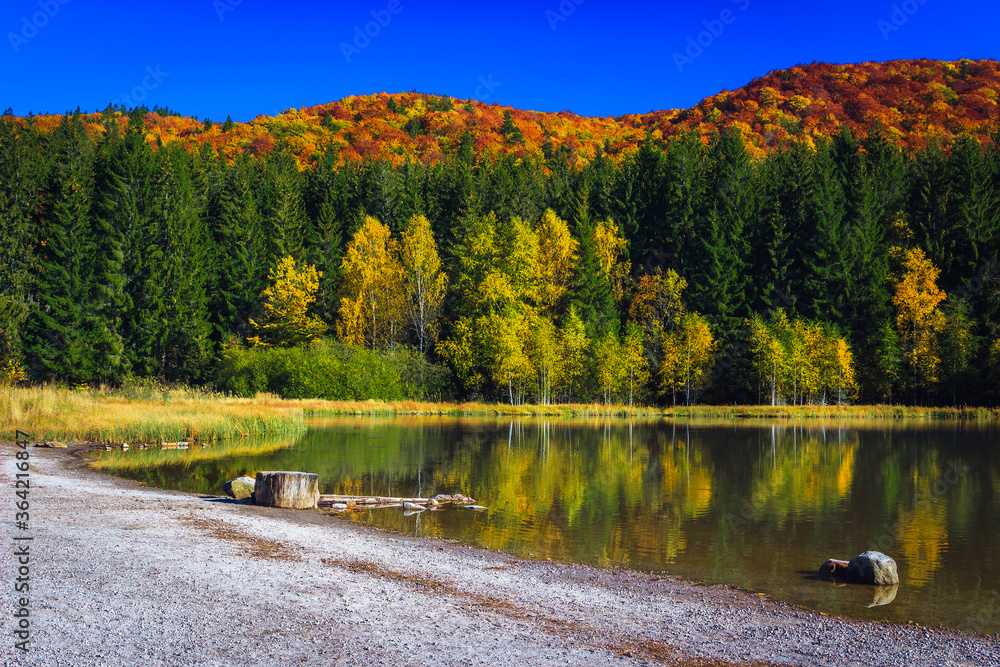 custom made wallpaper toronto digitalWonderful autumn landscape with Saint Ana lake and colorful forest