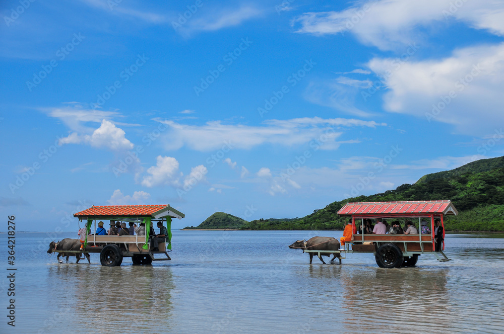 西表島の水牛車 Buffalo cart on Iriomote Island, Okinawa 西表島の水牛車 Buffalo cart on Iriomote Island, Okinawa