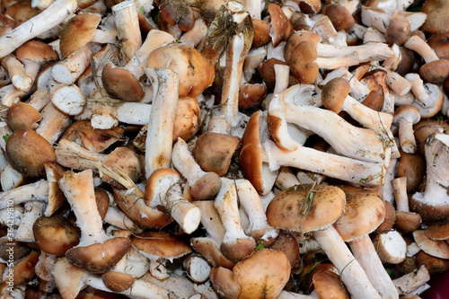 A lot of mushrooms on the table