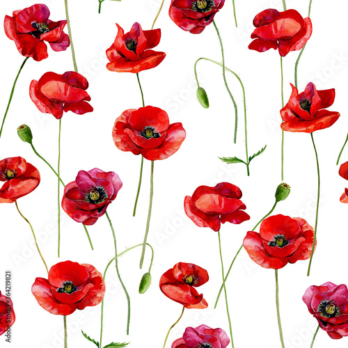 Watercolor scarlet poppies seamless pattern on a white background.