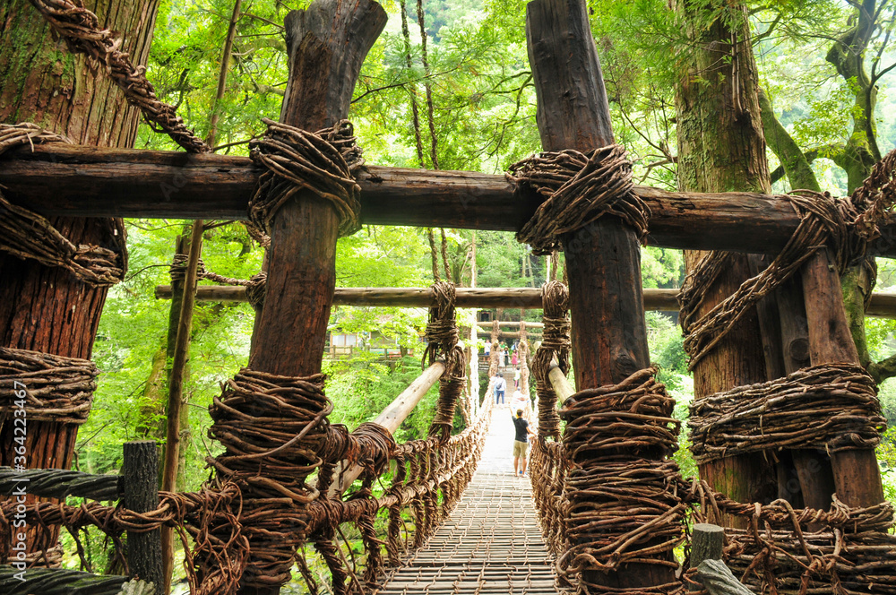 祖谷のかずら橋 Bridge in the gorgeous valley of Japan