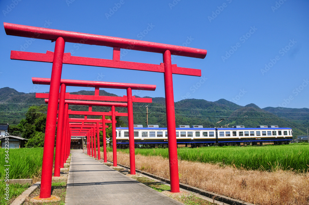 鳥居の間を走る一畑電車 Train passing through the beautiful scenery of Japan 鳥居の間を走る一畑電車 Train passing through the beautiful scenery of Japan