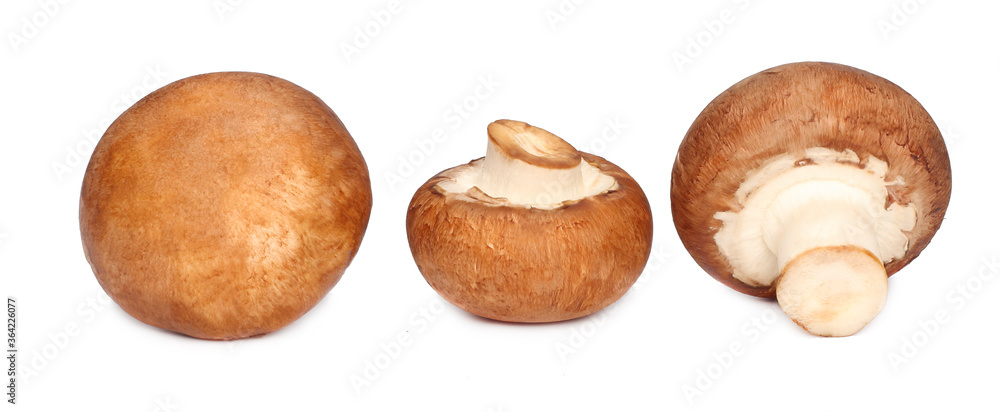 Royal champignon isolated on white background Royal champignon isolated on white background